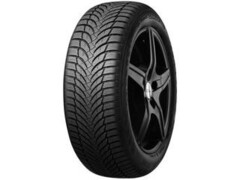 Winguard Snow'g Wh2