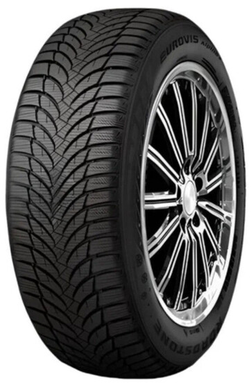 Шина Roadstone Eurovis Alpine 2 195/60R16 89H